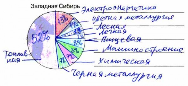 Отраслевая структура хозяйства западная сибирь диаграмма