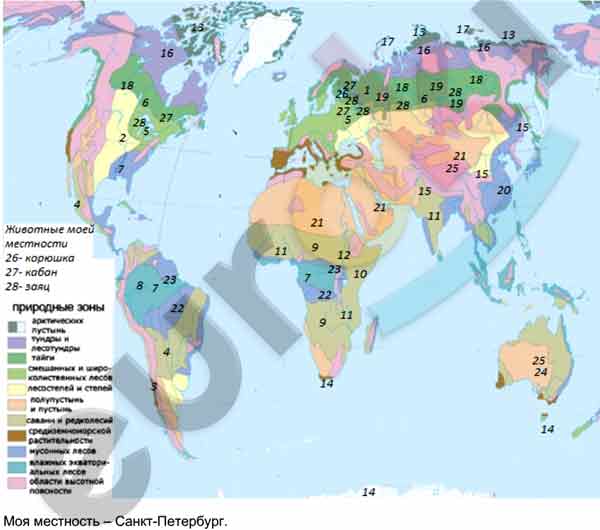 Карта по географии 6 класс природные зоны