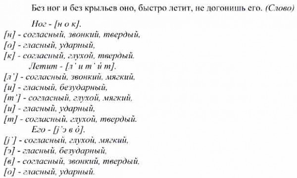 Разбор под цифрой 5 образец