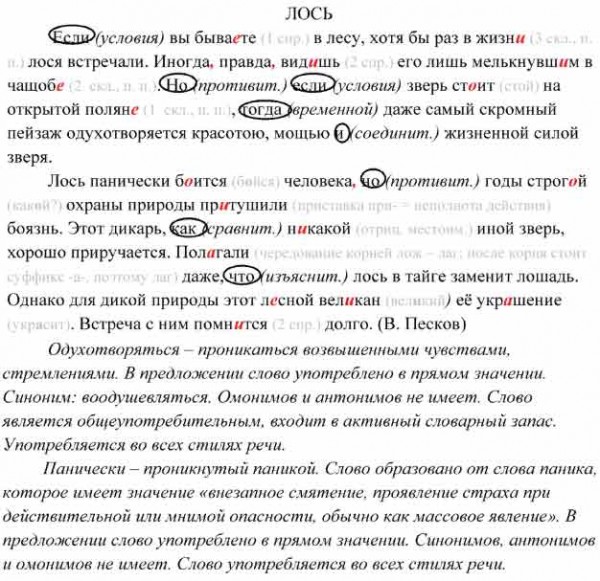 Заключите в овал. Заключите в овал Союзы. Гдз по русскому 7 класс Пименова Еремеева Купалова практика. Гдз по русскому 7 класс Пименова 366. Русский язык 7 класс Пименова 366 упражнение.