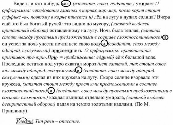 Прочитайте текст какой тип речи. Упражнение 354 по русскому языку 7 класс. Русский язык 7 класс упражнение 354 Пименовой. Схема предложения вчера еще это был богатый ручей: видно по мусору. Умерает лёд орфограмма.