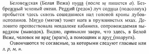 Песня пуща слова. Беловежская пуща безбрежный зеленый океан редкий Луч солнца 5 класс. Слова песни Беловежская пуща. Беловежская пуща текст песни слова. Текст песни Беловежская пуща распечатать.