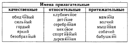 Притяжательное имя прилагательное. Качественные относительные и притяжательные прилагательные.