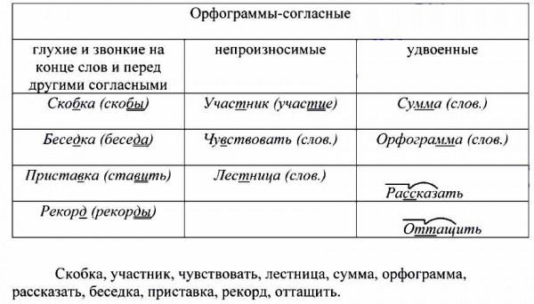 С указанными ниже словами составьте