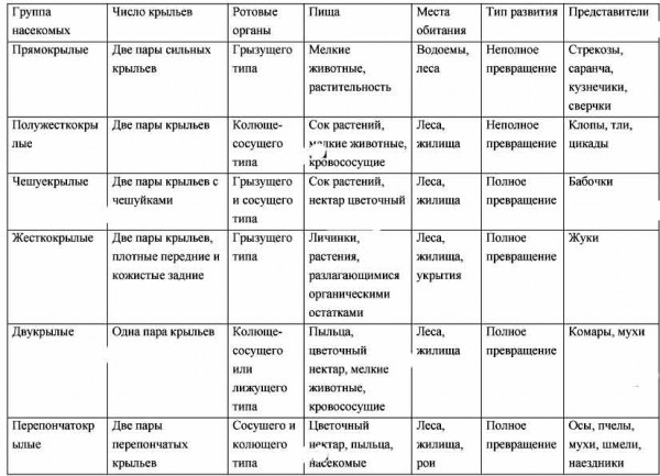 Таблица отряд насекомых 7. Сравнительная характеристика класс насекомые таблица. Отряды насекомых таблица 7 класс по биологии. Таблица по биологии 7 класс класс насекомые. Таблица по биологии отряды насекомых.