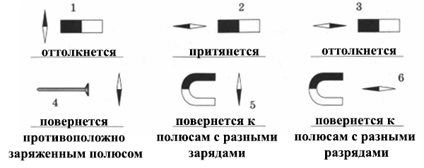 Укажи какая из магнитных стрелок на рисунке расположена верно