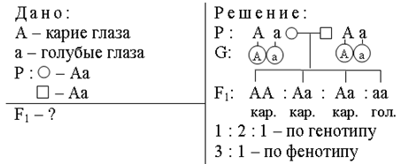 Используя данные схемы определите генотипы исходных растений если известно что в первом случае