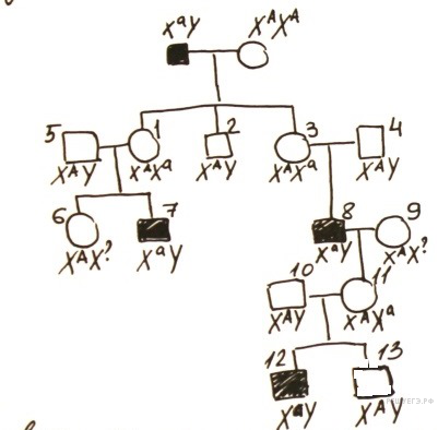 По изображенной на рисунке родословной определите и объясните характер