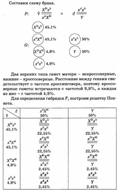 Между рецессивными генами гемофилии и дальтонизма