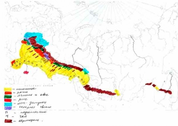 Районы выращивания сахарной свеклы подсолнечника риса и сои карта россии